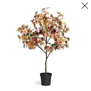 Frontgate Indoor/Outdoor Maple Tree - 5 ft - NWT